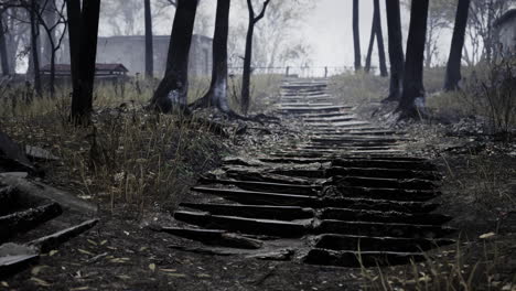 pripyat cityview of exclusion zone near the chernobyl nuclear power plant