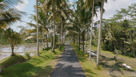 vista aérea pareja feliz montando scooter en una isla tropical mujer con los brazos levantados disfrutando de un divertido viaje por carretera de vacaciones con su novio en motocicleta