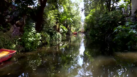 riding over a traditional boat trajinera in xochimilco, mexico