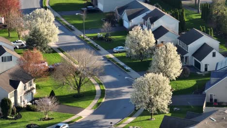 Blühende-Bäume-In-Der-Nachbarschaft-Im-Frühling