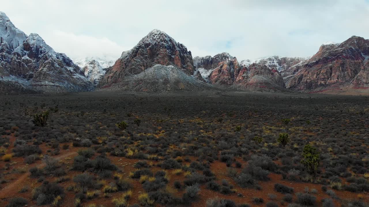 vuelo aéreo de drones a lo largo de una pista de senderismo con árboles de yuca y montañas cubiertas de nieve en el fondo