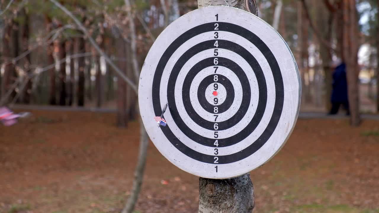 jugando a los dardos en un parque