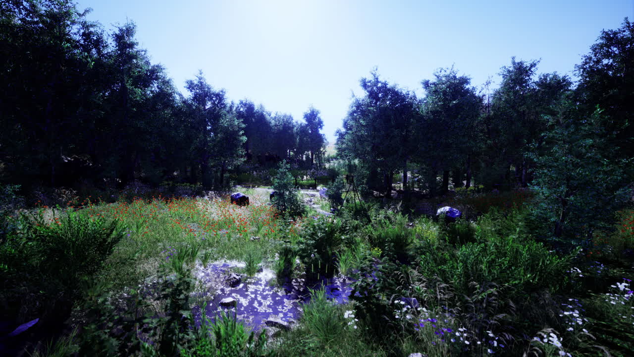 Natural landscape features vibrant green grass and blooming wildflowers