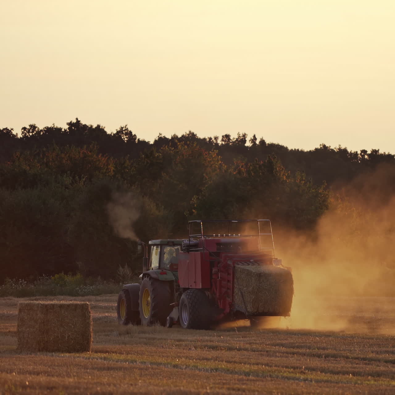 Close-up tractor baling dry grass in the evening. Agricultural machine pressing hay into square bale on the field at sunset.