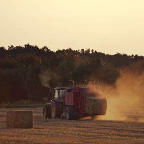 close-up tractor baling dry grass in the evening. agricultural machine pressing hay into square bale on the field at sunset.