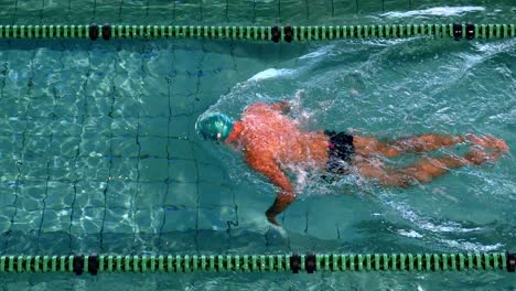 fit swimmer doing the breast stroke in the swimming pool