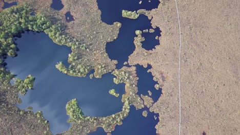 Beautiful-aerial-birdseye-view-of-bog-landscape-with