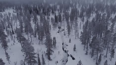 aerial of a frozen forest with snow covered trees and a frozen river in idre, sweden during a cloudy day with fog