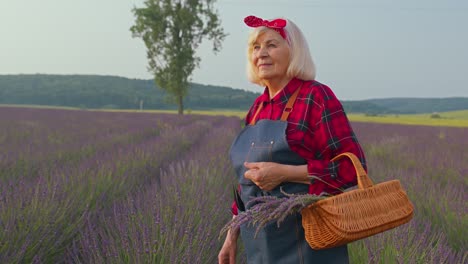 Senior-farmer-woman-turning-face-to-camera-and-smiling-in-lavender-field-meadow-flower-herb-garden