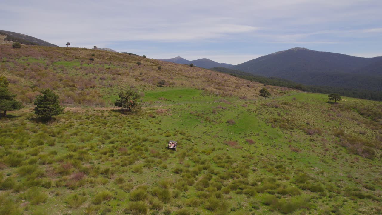 vuelo aéreo de drones sobre colinas verdes con coche 4x4 entre plantas y arbustos durante la luz del sol