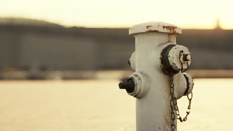 white fire hydrant at sunset