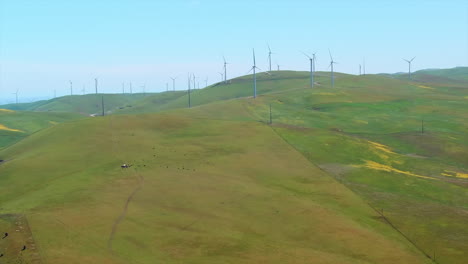 Windkraftanlagen-Erzeugen-Saubere-Energie-Auf-Den-Kalifornischen-Graslandebenen-–-Luftaufnahme