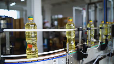bottles of oil moving on the conveyor line. production of sunflower oil in a factory. interior of modern natural oil factory.
