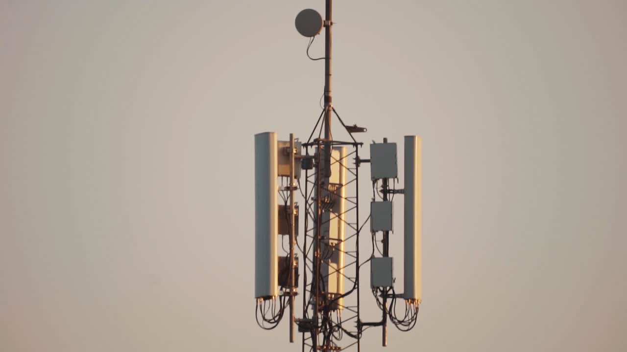 새로운 통신탑의 정적 샷, 건강에 해로운 방사선의 음모론