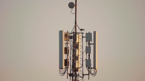 toma estática de una nueva torre de comunicación, teoría de la conspiración de radiación nociva