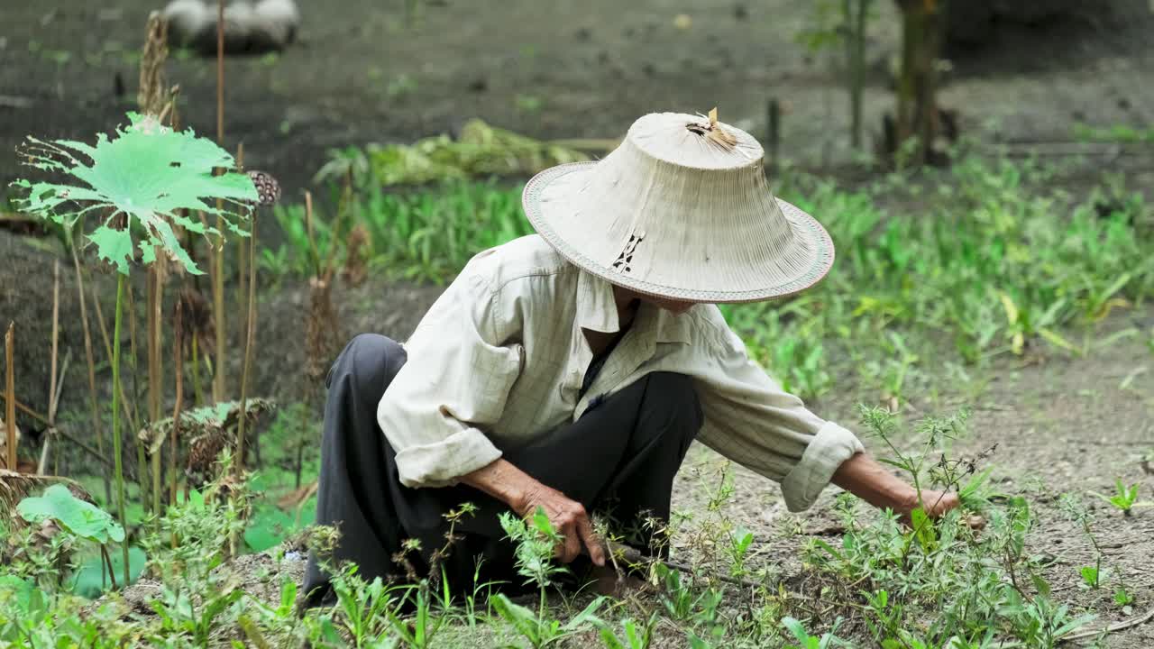 пожилой фермер, работающий на поле