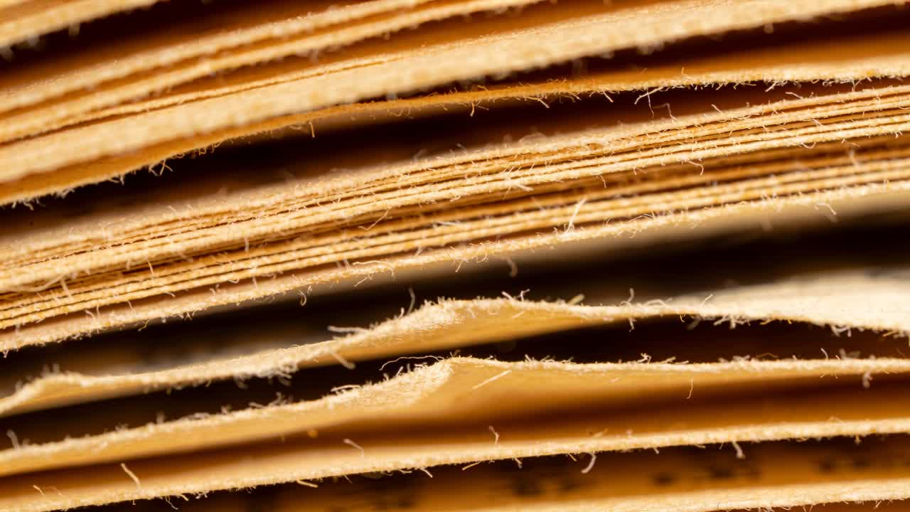 Video verticale: Spostamento del fuoco in macro, bordi di carta invecchiata che rivelano le fibre e si assestano per la chiarezza.