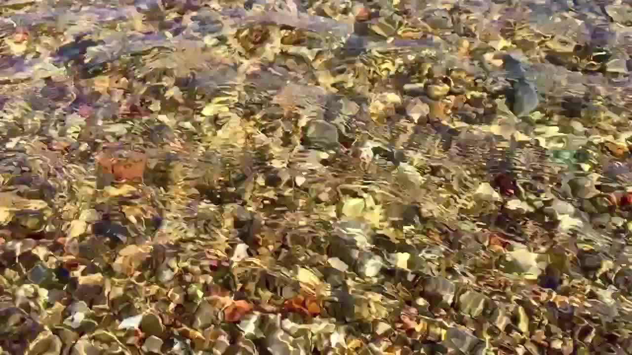 slomo mirando hacia la superficie del agua clara moviéndose lentamente sobre el lecho del río poco profundo