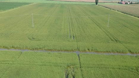 Toma-Aérea-De-Un-Arrozal-Italiano.