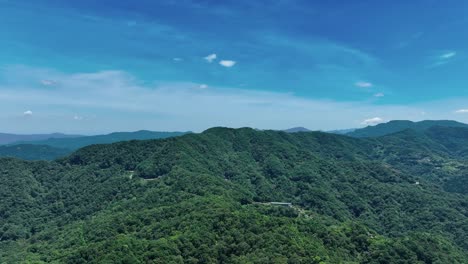 cinematic rising shot showing green mountain landscape overgrown with trees and plants at blue sky