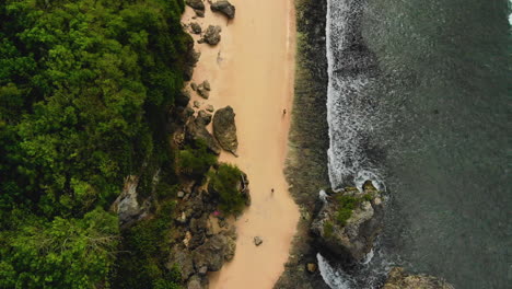 Vista-De-Pájaro-De-Un-Par-De-Personas-Caminando-En-Una-Hermosa-Playa,-Entre-El-Mar-Azul-verde-De-Bali-Y-Un-Bosque-Verde