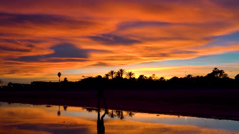 hombre caminando por una playa increíble al atardecer, el agua refleja un cielo hermoso y colorido mientras pasa de derecha a izquierda sobre la arena de la playa
