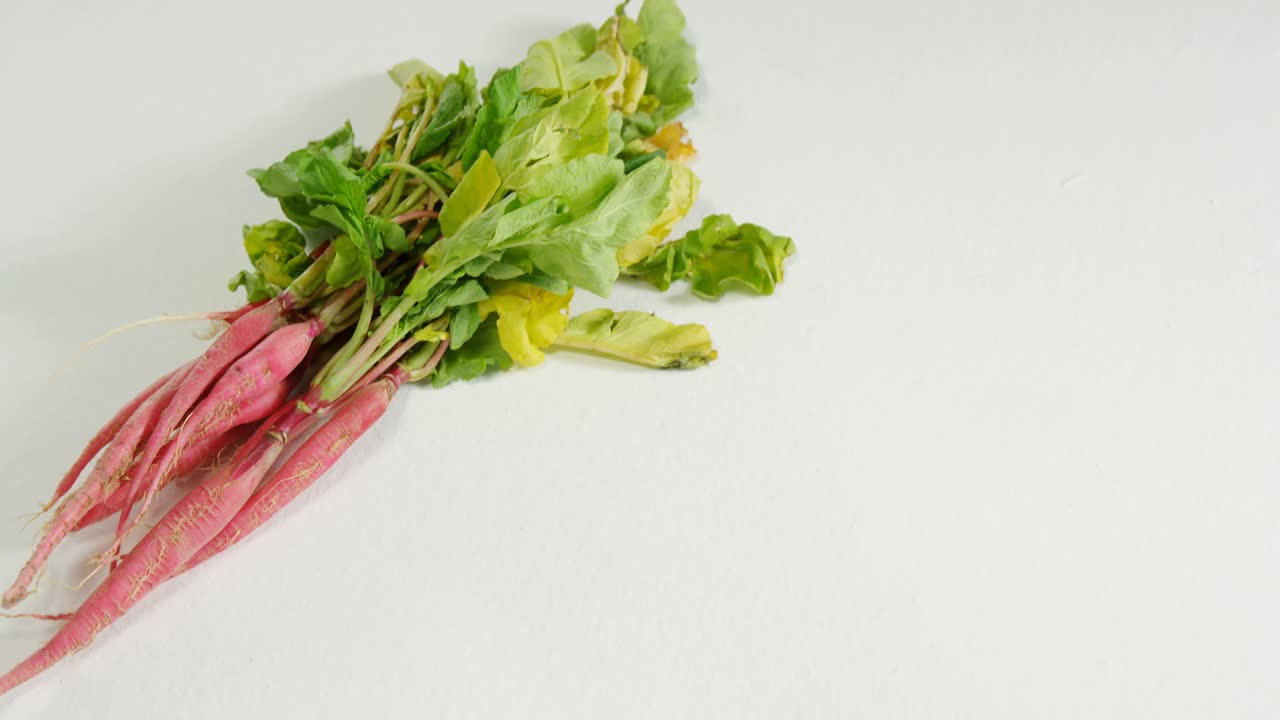 zanahoria con hojas aisladas sobre fondo blanco 4k 4k