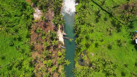 aerial drone view looking down on maasin river on siargao island in the philippines