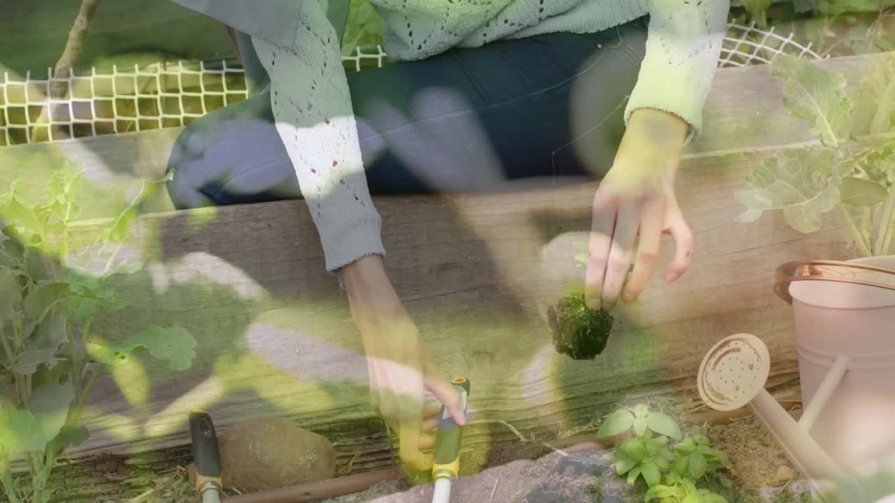 히자브를 입은 두 인종의 여성이 정원 가꾸고 있는 잎의 애니메이션