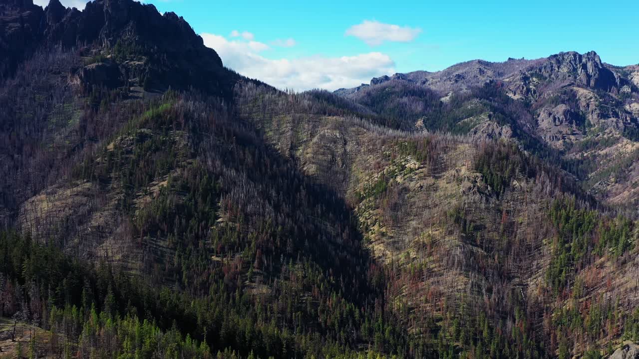 Scenic Aerial view of the pacific northwest landscape with mountain ranges covered in Evergreen Forest in Washington State.