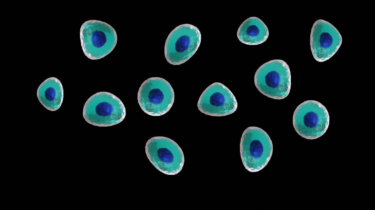 Animação de microcélulas azuis e turquesa em fundo preto