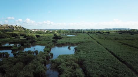 flying over a swamp with a scenic castle in a small town in the background