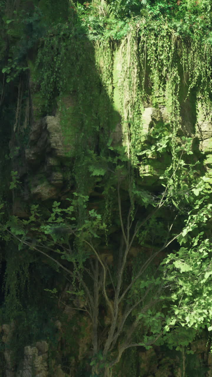 Lush greenery envelops towering cliffs in a serene natural landscape