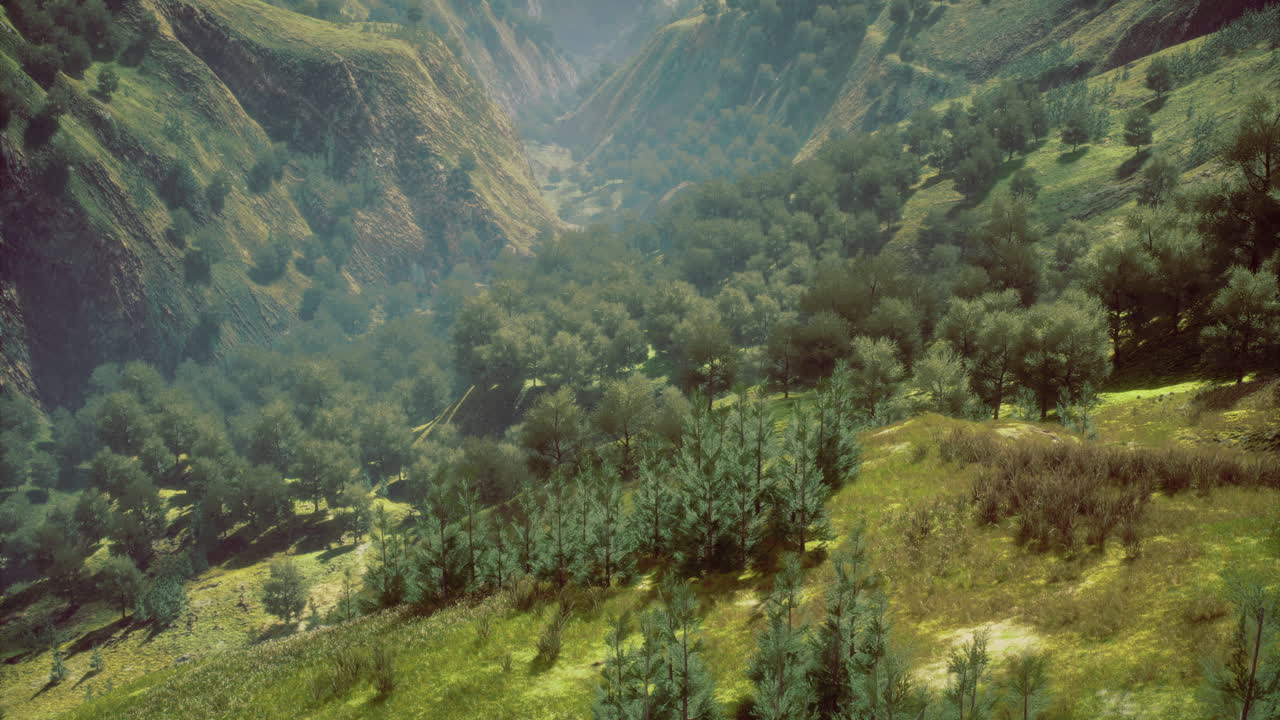 Breathtaking view of a lush valley with vibrant greenery under soft sunlight
