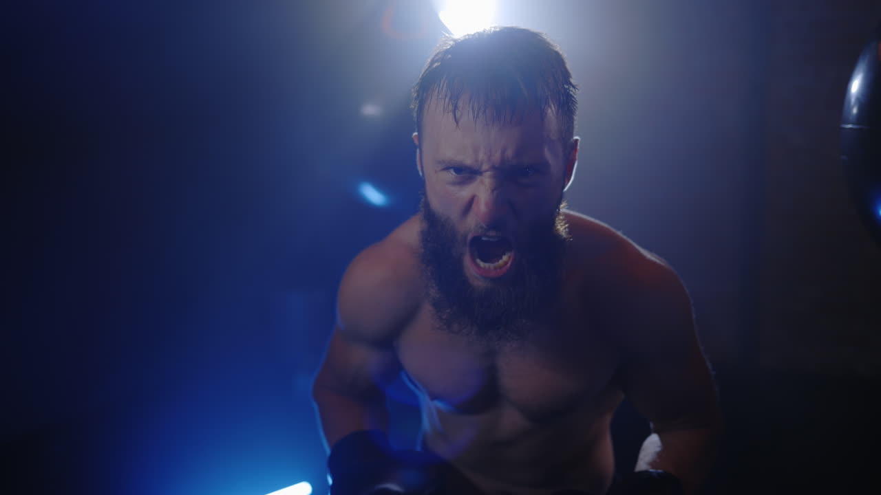 Angry Boxer in Training