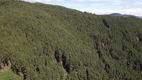 paisajes en las montañas de colombia cerca de bogota12