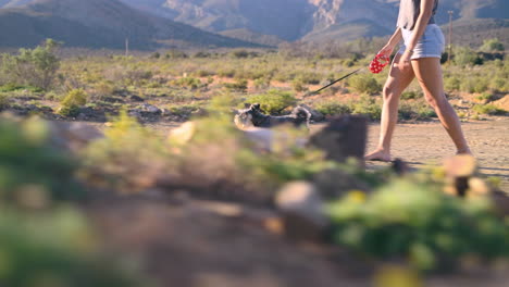 walkies are even better in the great outdoors