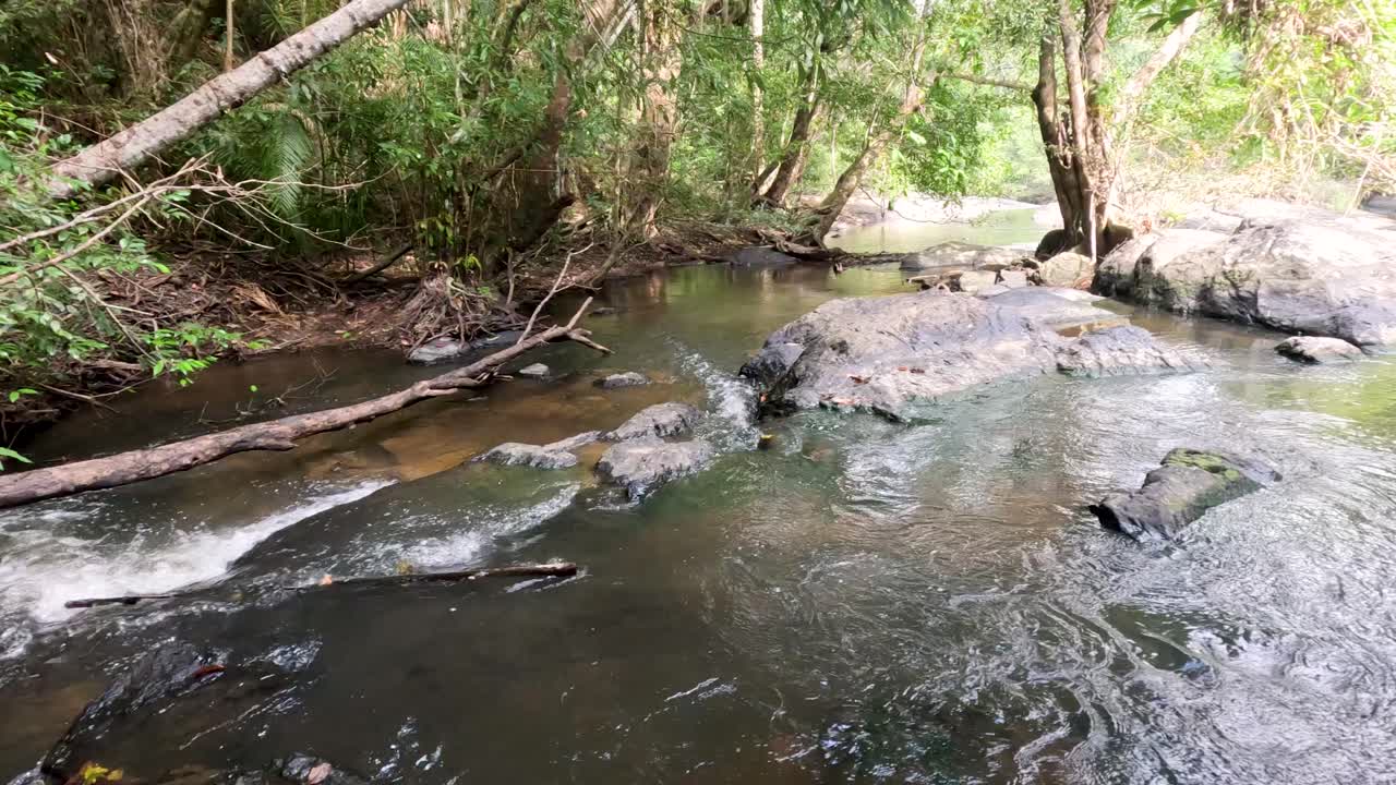 un río pacífico que fluye a través de un bosque exuberante