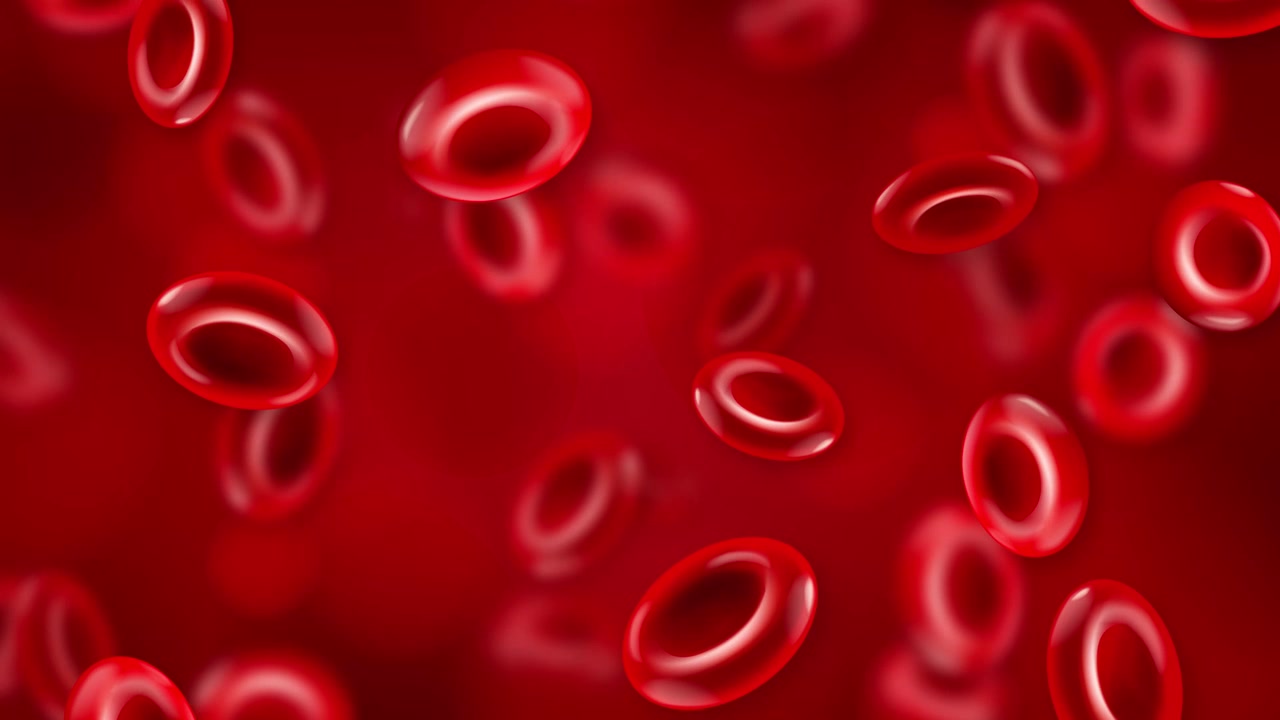 3D medical animation of human erythrocytes falling slowly against a blurred deep red background.