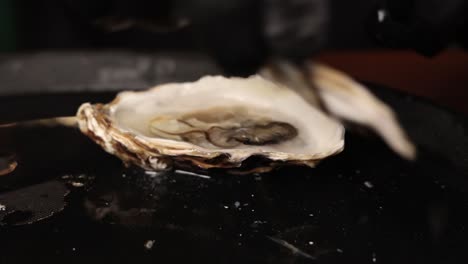 preparing oysters