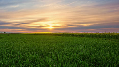 Herrlicher-Blick-Auf-Grüne-Felder-Vor-Dem-Malerischen-Sonnenuntergang-Am-Horizont