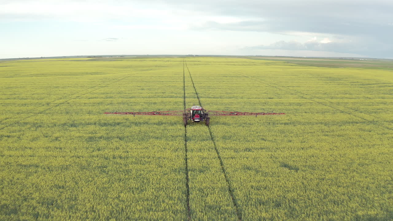 tractor agrícola trabajando en campo de canola rociando fungicida en plantaciones rurales en canadá