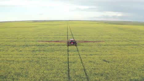 Tractor-Agrícola-Trabajando-En-Campo-De-Canola-Rociando-Fungicida-En-Plantaciones-Rurales-En-Canadá