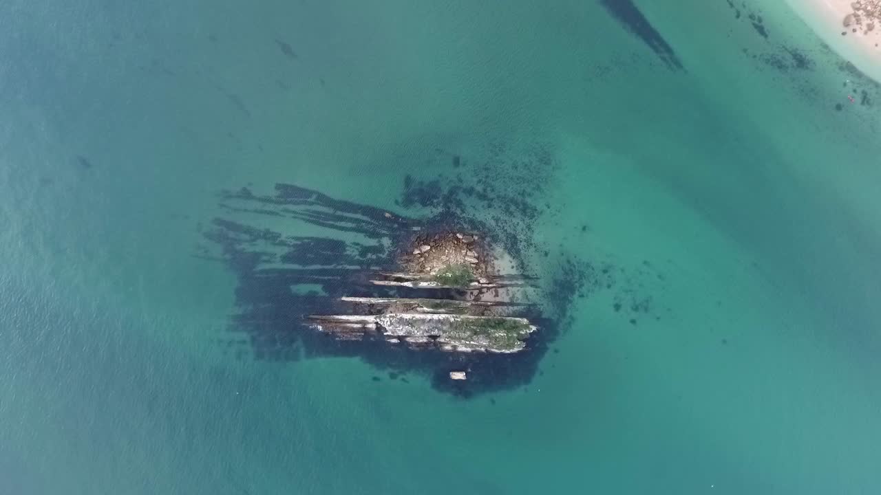 A bird's eye view of the zoological reserve Pedra da Anicha (in the beauty Arrabida Natural Park, Portugal), with many seagulls flying around