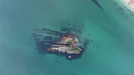 a bird's eye view of the zoological reserve pedra da anicha (in the beauty arrabida natural park, portugal), with many seagulls flying around