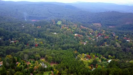 Imágenes-De-Drones-Sobre-árboles-De-Otoño-En-El-Monte-Macedon,-Victoria,-Australia