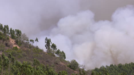 Desarrollo-De-Humo-Denso-En-Un-Incendio-Forestal-En-Las-Montañas-Portuguesas