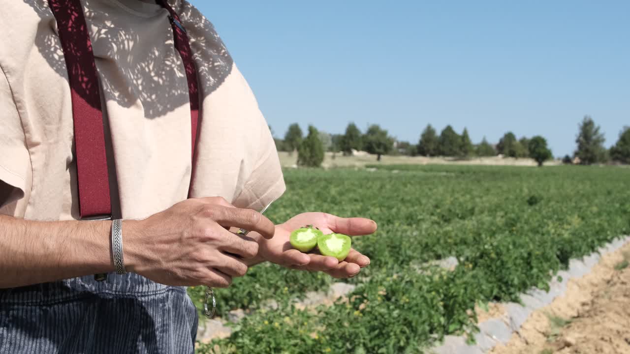 un tomate verde cortado