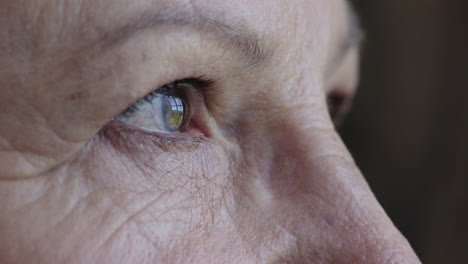 mujer de mediana edad con los ojos abiertos mirando sorprendida disfrutando de una vista sana