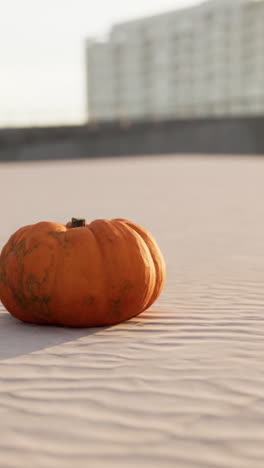 a single orange pumpkin sitting on a white surface